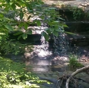 Meet your Posher, Kurt